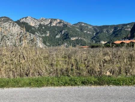 Dalyan Iztuzu Road Zero 5216M2 Field Plot For Sale