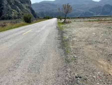 Dalyan Iztuzu Beach Road Zero 19,600M2 Field Land For Sale