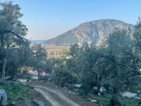 Çandır Lake Sea View 2,806M2 2B Field For Sale