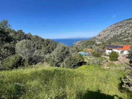 Village House For Sale In 4,400M2 Land With Full Sea View In Gökbel