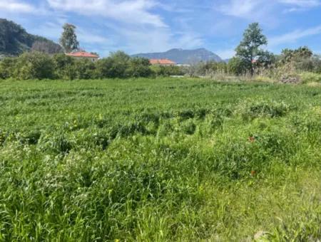 736M2 Land For Sale In Okçular