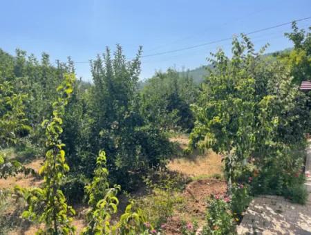 Muğla Ula Köprübaşı Mahallesin In 2378M2 Land In 3 1 Vlla For Sale