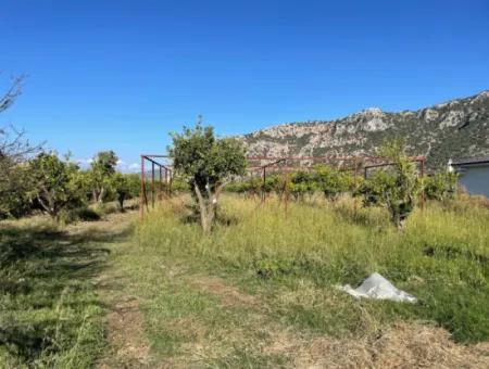 Land For Sale In Dalyan Close To The Center Of 6600M2