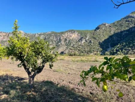 Land For Sale In Dalyan Close To The Center Of 6600M2