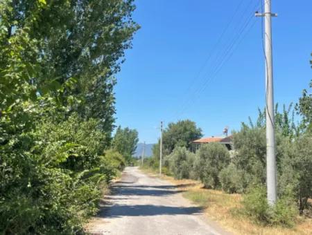 Road-New 6820M2 Pomegranate And Lemon Orchard Is For Sale In Tepearası