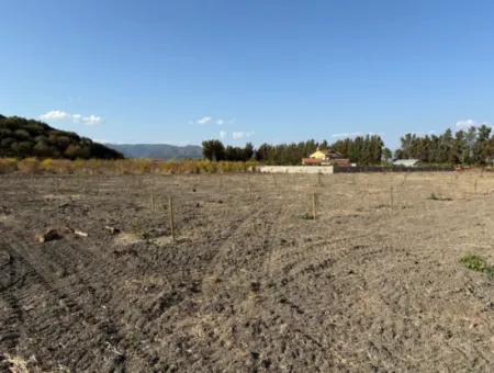 19.663M2 Farm Land And House For Sale In Eskiköy