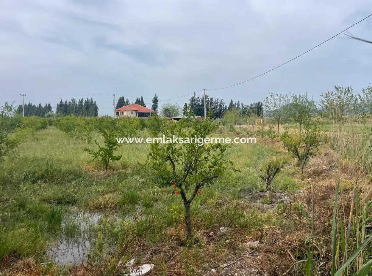 Dalyan'da 6500M2 Satılık Tarla