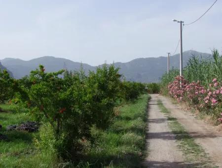 Dalyan İztuzu Satılık Bahçe Dalyan Göle Sıfır Satılık Arsa