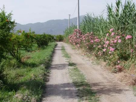 Dalyan İztuzu Satılık Bahçe Dalyan Göle Sıfır Satılık Arsa