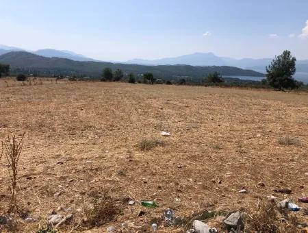 Köyceğiz Zeytinalanı'nda Göl Manzaralı 11.227M2 Satılık Arsa