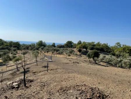 Çandır Deniz Manzaralı Satılık Tarla Arsa